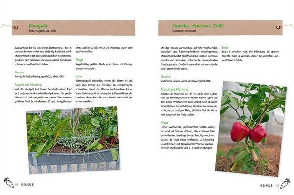 Produktbild: Alles Bio vom Balkon. Obst, Gem&uuml;se und Kr&auml;uter selber ziehen.