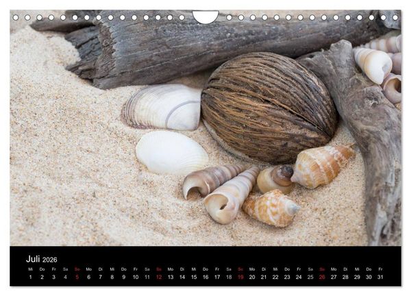 Produktbild: Strandgut und Meer 2026 (Wandkalender 2026 DIN A4 quer), CALVENDO Monatskalender