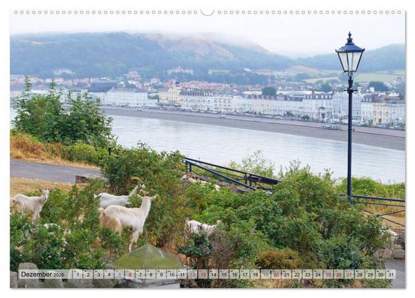 Produktbild: Gogledd Cymru - Nord-Wales (Wandkalender 2026 DIN A2 quer), CALVENDO Monatskalender