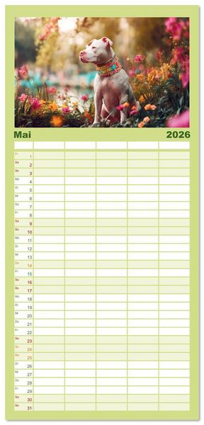 Produktbild: Familienplaner 2026 - Pit Bull Terrier. Zwischen Wildblumen und Gro&szlig;stadtglanz mit 5 Spalten (Wandkalender, 21 x 45 cm) CALVENDO