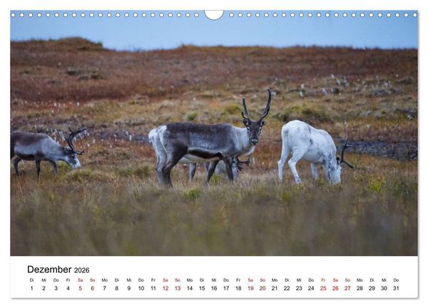 Produktbild: Norwegen im Sp&auml;tsommer (Wandkalender 2026 DIN A3 quer), CALVENDO Monatskalender