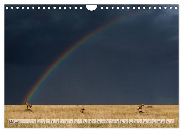 Produktbild: Emotionale Momente: Afrika Wildlife Part 2 / CH-Version (Wandkalender 2026 DIN A4 quer), CALVENDO Monatskalender