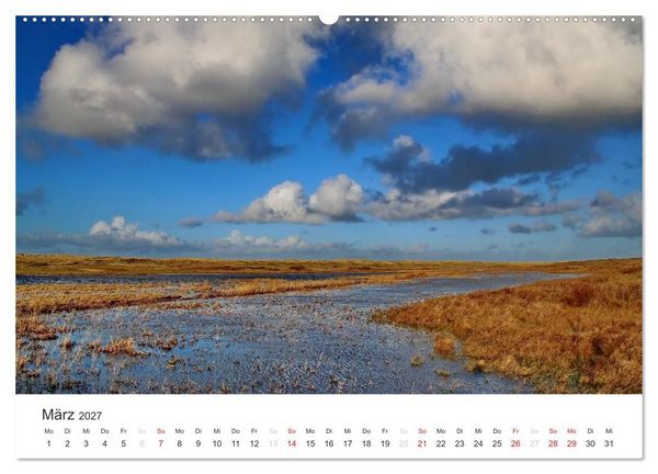 Produktbild: Texel &ndash; Eine Insel die verzaubert (Wandkalender 2027 DIN A2 quer), CALVENDO Monatskalender