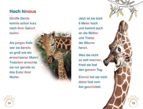 Produktbild: SUPERLESER! Nachwuchs bei uns im Zoo