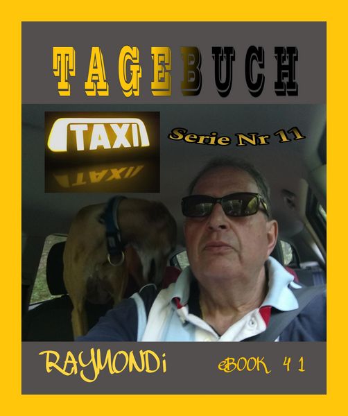 Produktbild: Taxi - Tagebuch