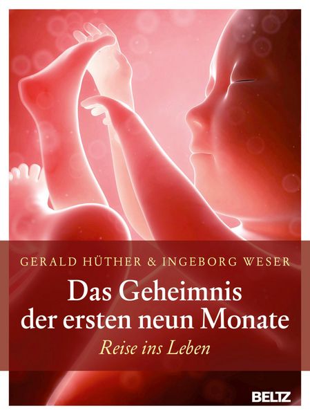 Produktbild: Das Geheimnis der ersten neun Monate