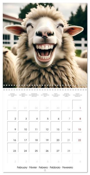 Produktbild: Joie animale - Une ann&eacute;e de sourires et d'&eacute;nergie positive (Calendrier mural carr&eacute; 2026 30x30 cm) Calendrier double avec une page pour vos prises de notes