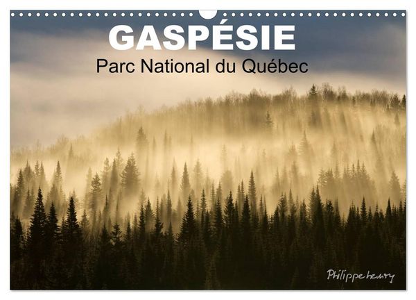 Produktbild: GASP&Eacute;SIE. Parc National du Qu&eacute;bec (Calendrier mural 2026 DIN A3 vertical), CALVENDO calendrier mensuel