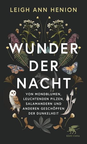Produktbild: Wunder der Nacht