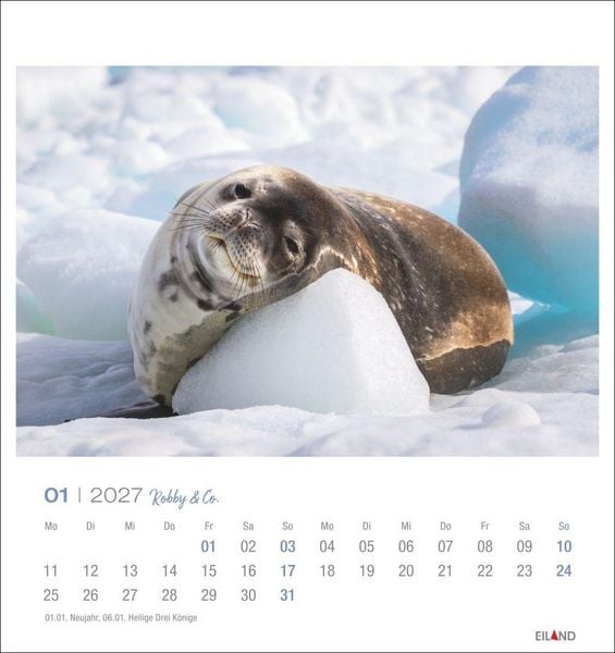 Produktbild: Robby & Co. Postkartenkalender 2027