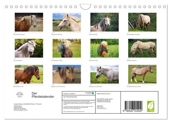 Produktbild: Der Pferdekalender (Wandkalender 2026 DIN A4 quer), CALVENDO Monatskalender