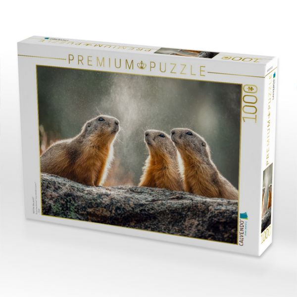 Produktbild: CALVENDO Puzzle H&ouml;rt ihr das auch? | 1000 Teile Lege-Gr&ouml;&szlig;e 64x48cm Foto-Puzzle f&uuml;r gl&uuml;ckliche Stunden
