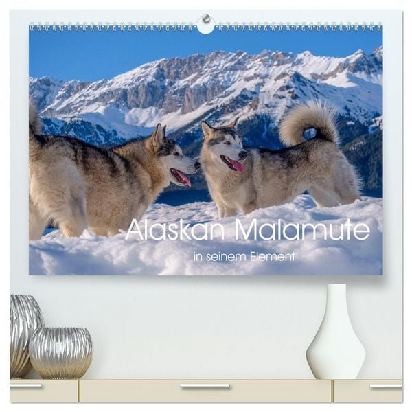 Produktbild: Alaskan Malamute in seinem Element (hochwertiger Premium Wandkalender 2026 DIN A2 quer), Kunstdruck in Hochglanz