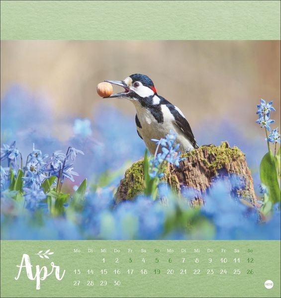 Produktbild: Vadim Trunov: Märchenhaftes Waldleben Postkartenkalender 2026