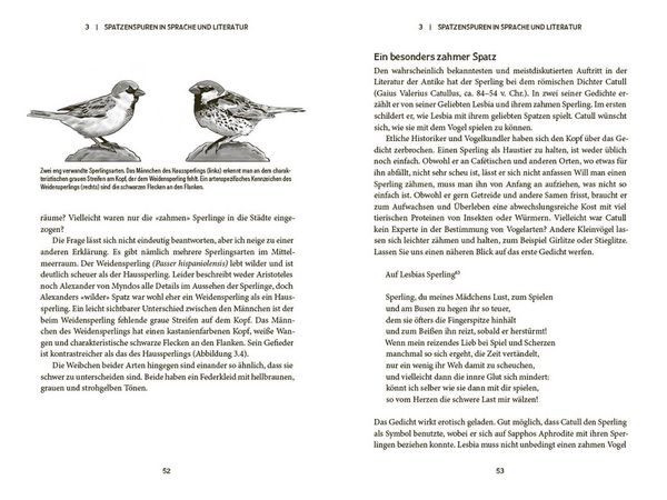 Produktbild: Der Spatz