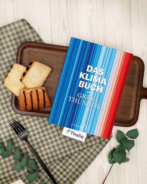 Das Klima-Buch von Greta Thunberg