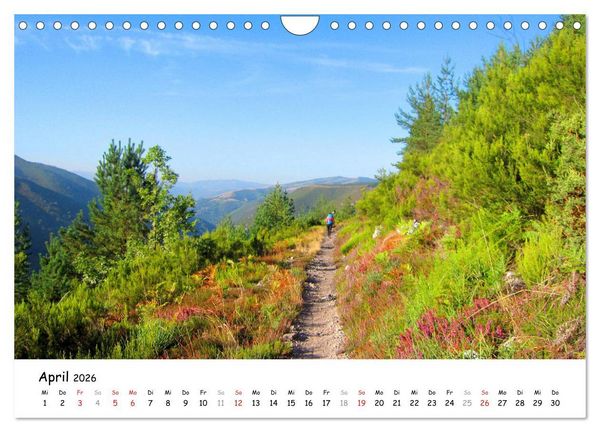 Produktbild: Jakobsweg - Camino Primitivo (Wandkalender 2026 DIN A4 quer), CALVENDO Monatskalender