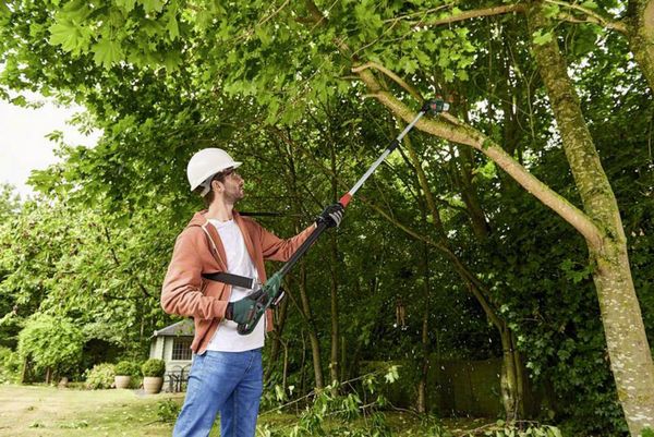 Produktbild: Bosch Home and Garden 06008B3100 UniversalChainPole 18 Akku Hochentaster Tragegurt, inkl. Akku, inkl. Ladeger&auml;t 18 V Li-Ion