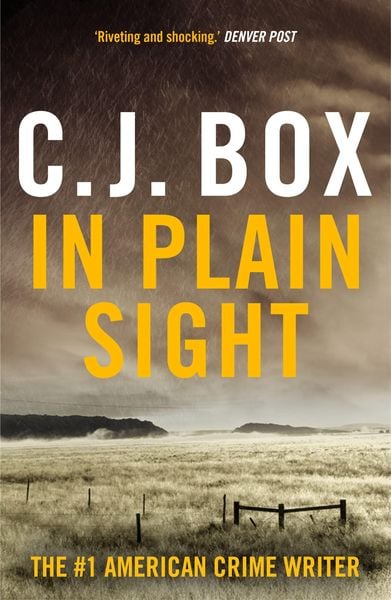 Produktbild: In Plain Sight