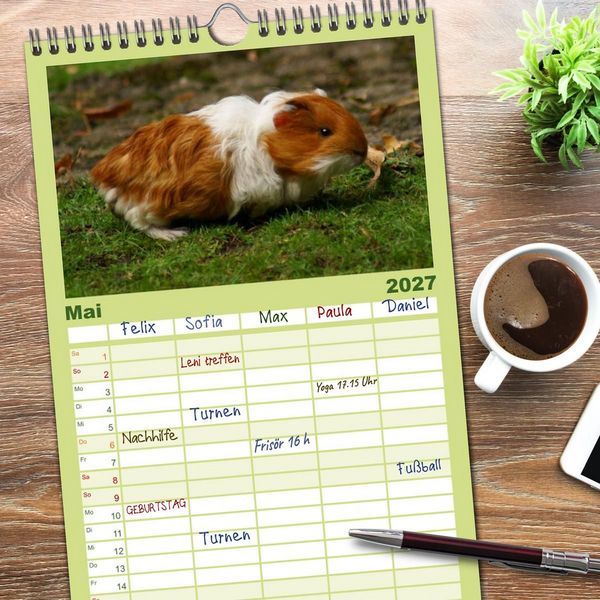 Produktbild: Familienplaner 2027 - Kuschelige Meerschweinchen mit 5 Spalten (Wandkalender, 21 x 45 cm) CALVENDO