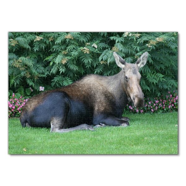 Produktbild: Lais Puzzle Elch 500 Teile