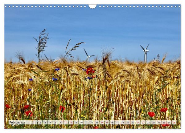 Produktbild: Fischland: zwischen Ostsee und Bodden (Wandkalender 2026 DIN A3 quer), CALVENDO Monatskalender