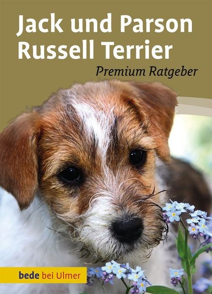 Produktbild: Jack und Parson Russell Terrier