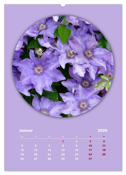 Produktbild: Rundherum Natur (hochwertiger Premium Wandkalender 2026 DIN A2 hoch), Kunstdruck in Hochglanz