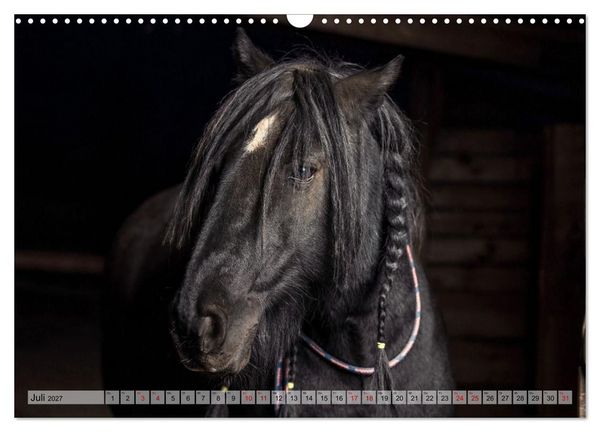 Produktbild: Colorful Horse Ranch &ndash; Wo Tinker posen und Ponys l&auml;cheln (Wandkalender 2027 DIN A3 quer), CALVENDO Monatskalender