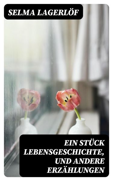 Produktbild: Ein St&uuml;ck Lebensgeschichte, und andere Erz&auml;hlungen