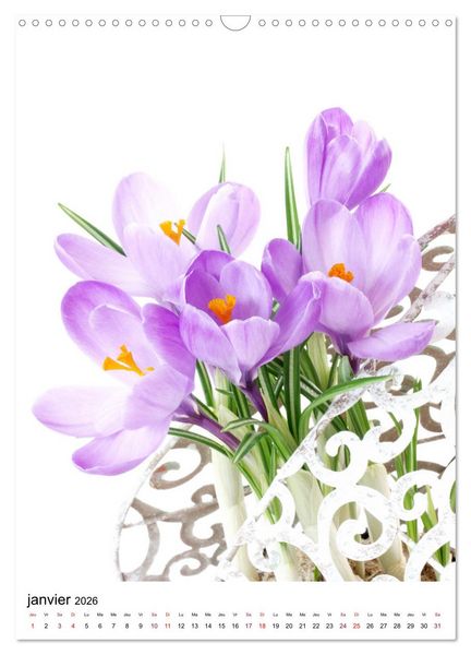 Produktbild: Fleurs &eacute;l&eacute;gantes (Calendrier mural 2026 DIN A3 horizontal), CALVENDO calendrier mensuel