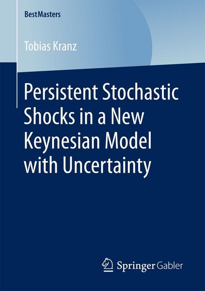 Produktbild: Persistent Stochastic Shocks in a New Keynesian Model with Uncertainty