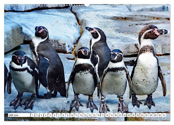 Produktbild: Tierische Fracktr&auml;ger (Wandkalender 2026 DIN A2 quer), CALVENDO Monatskalender