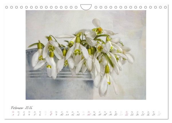 Produktbild: Vintage Flowers (Wandkalender 2026 DIN A4 quer), CALVENDO Monatskalender