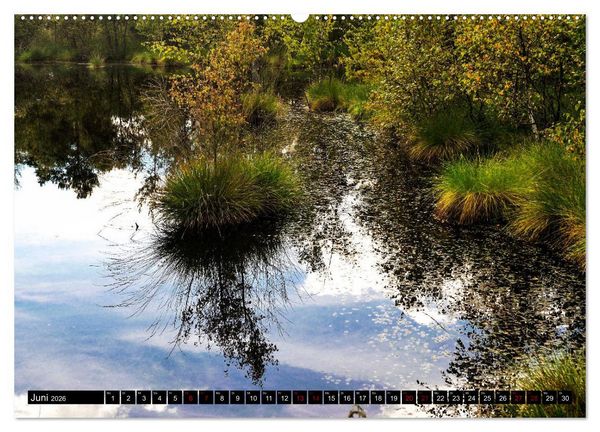 Produktbild: L&uuml;neburger Heide (hochwertiger Premium Wandkalender 2026 DIN A2 quer), Kunstdruck in Hochglanz