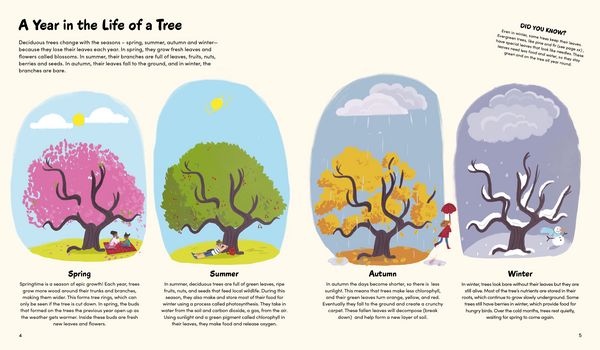 Produktbild: The Little Book of Trees