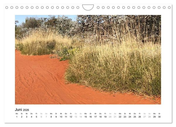 Produktbild: Traumziel Australien - Im Red Centre 2026 (Wandkalender 2026 DIN A4 quer), CALVENDO Monatskalender