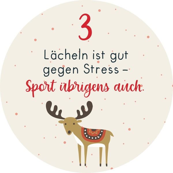Produktbild: Adventskalender in der Dose. Christmas Fitness