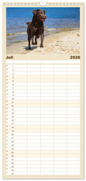 Produktbild: Familienplaner 2026 - Labrador Retriever - Freunde f&uuml;r&acute;s Leben mit 5 Spalten (Wandkalender, 21 x 45 cm) CALVENDO
