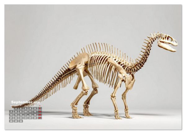 Produktbild: Knochen der Giganten - Dinosaurier im Portr&auml;t (Wandkalender 2026 DIN A2 quer), CALVENDO Monatskalender