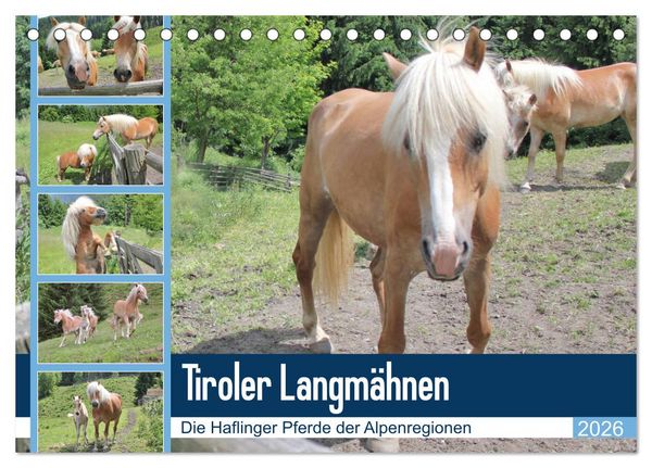 Produktbild: Tiroler Langm&auml;hnen (Tischkalender 2026 DIN A5 quer), CALVENDO Monatskalender