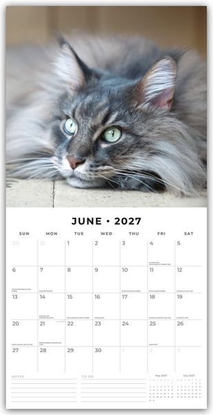 Produktbild: Maine Coon Cats &ndash; Maine Coon Katzen 2027 &ndash; 16-Monatskalender
