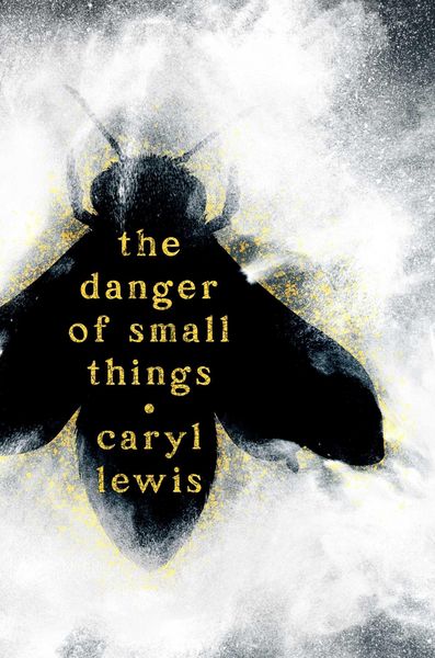 Produktbild: The Danger of Small Things