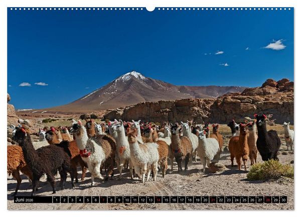 Produktbild: Bolivien Andenlandschaften (hochwertiger Premium Wandkalender 2026 DIN A2 quer), Kunstdruck in Hochglanz