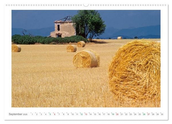 Produktbild: Farbenfrohe Provence (Wandkalender 2026 DIN A2 quer), CALVENDO Monatskalender