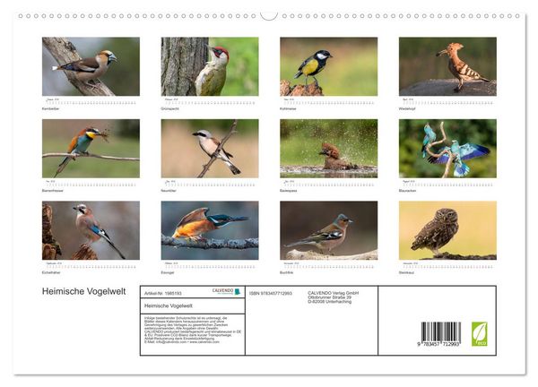 Produktbild: Heimische Vogelwelt (hochwertiger Premium Wandkalender 2026 DIN A2 quer), Kunstdruck in Hochglanz