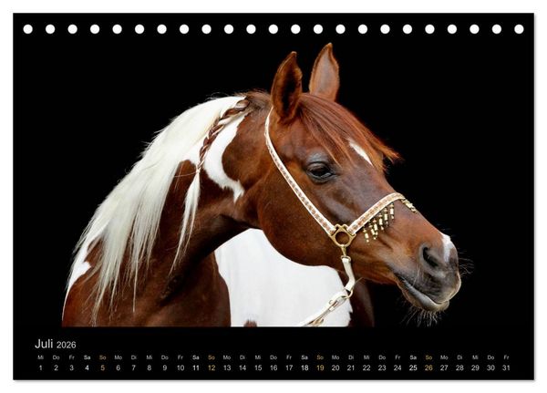 Produktbild: Magische Momente - Pferde Horses Caballos (Tischkalender 2026 DIN A5 quer), CALVENDO Monatskalender