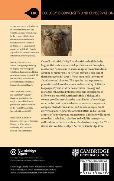 Produktbild: Ecology and Management of the African Buffalo