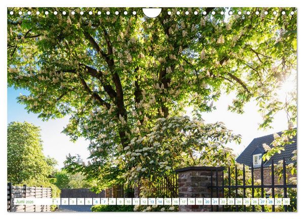 Produktbild: K&ouml;ln Widdersdorf - Bl&uuml;tentr&auml;ume und l&auml;ndliche Idylle (Wandkalender 2026 DIN A4 quer), CALVENDO Monatskalender