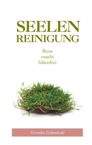 Produktbild: Seelenreinigung